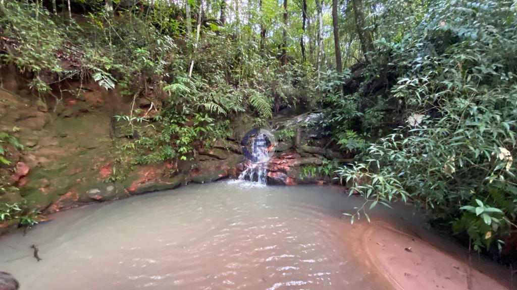 Chácara, 2 quartos, 3000 m² - Foto 14