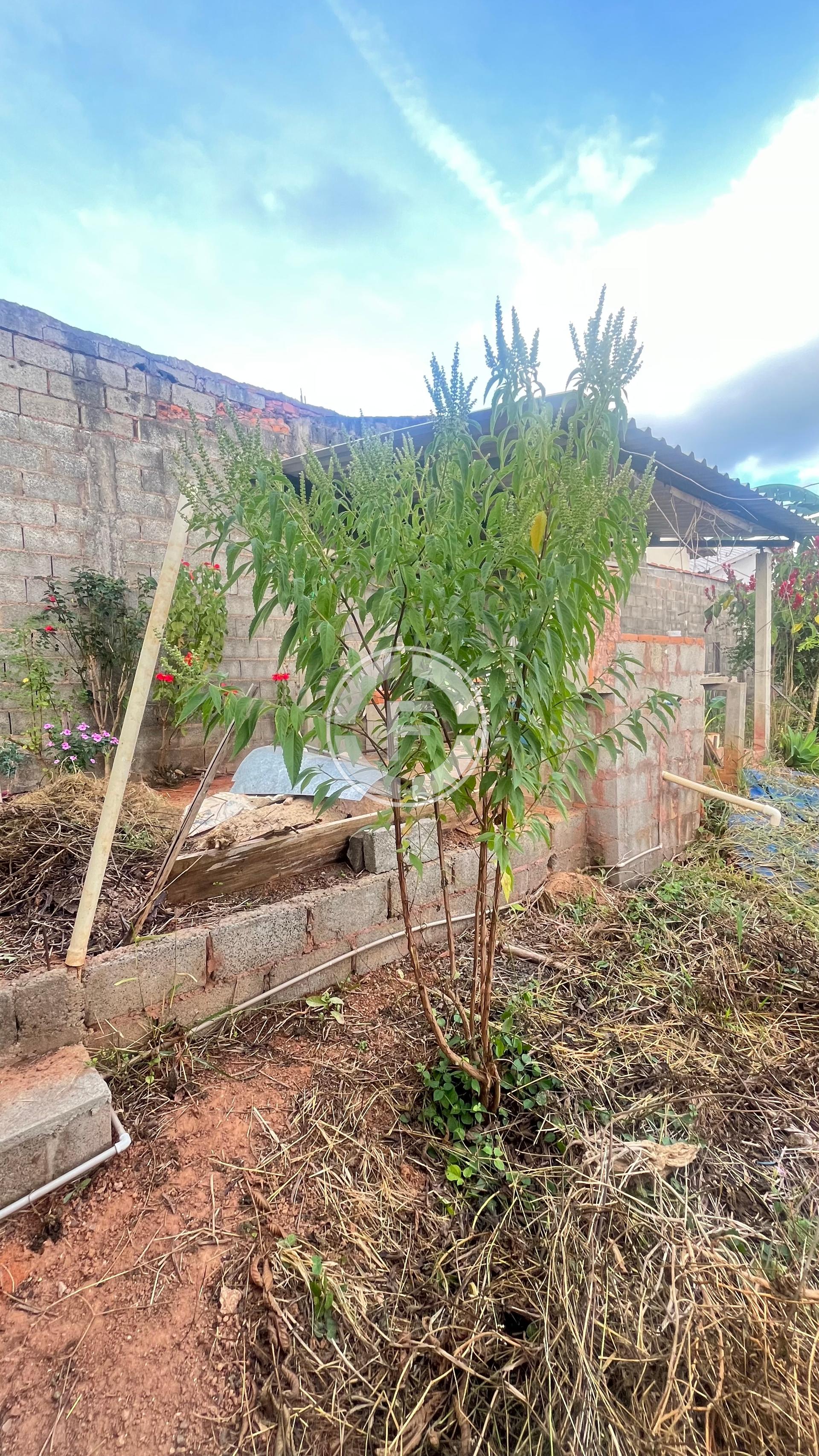 Terreno à venda, BELVEDERE, SAO SEBASTIAO DO PARAISO - MG