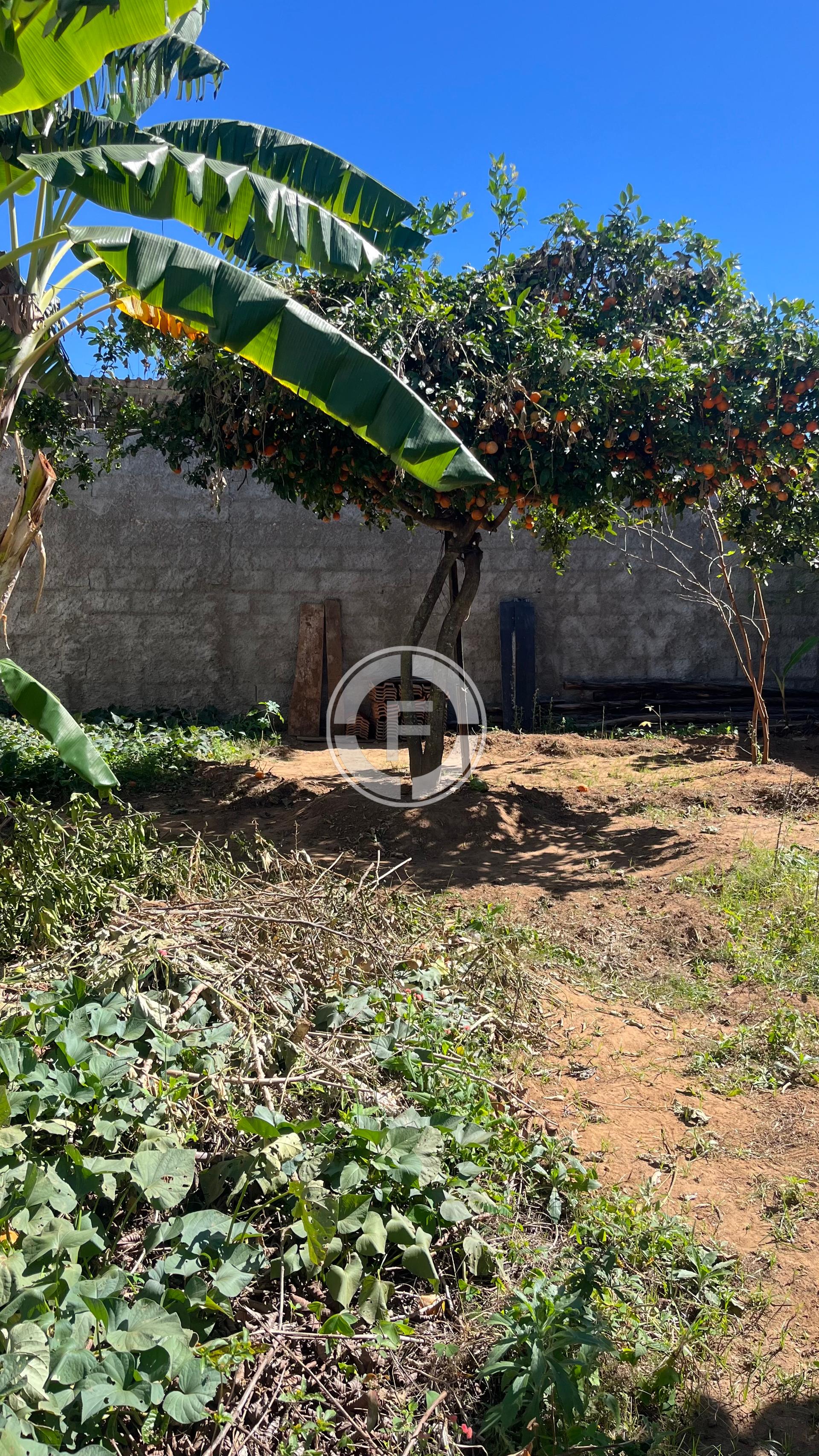 Casa, 1 quarto, 357 m² - Foto 7