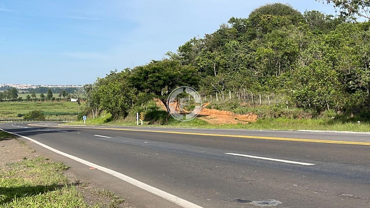 Fazenda - Foto 4