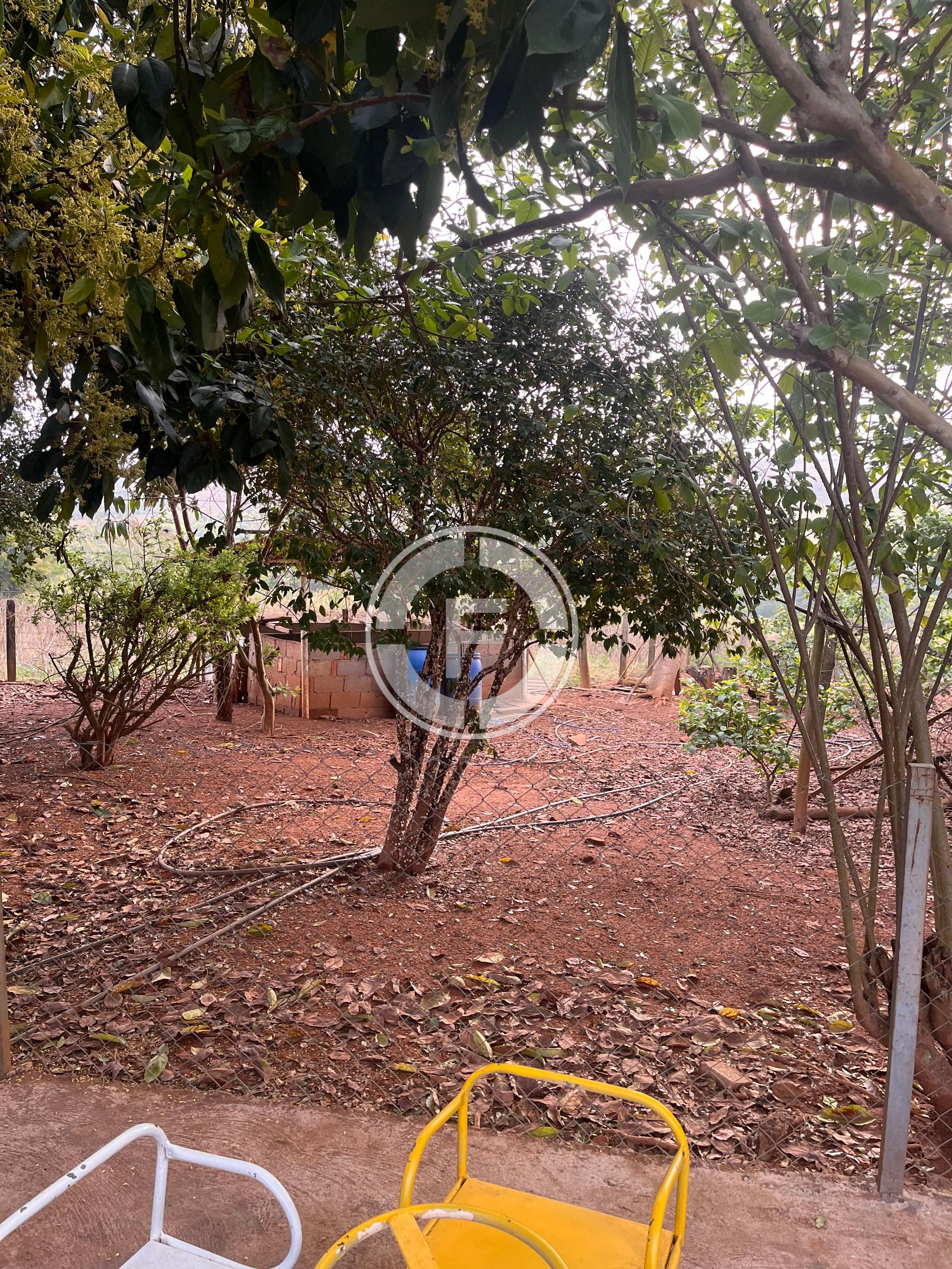 Sítio, 2 quartos - Foto 4