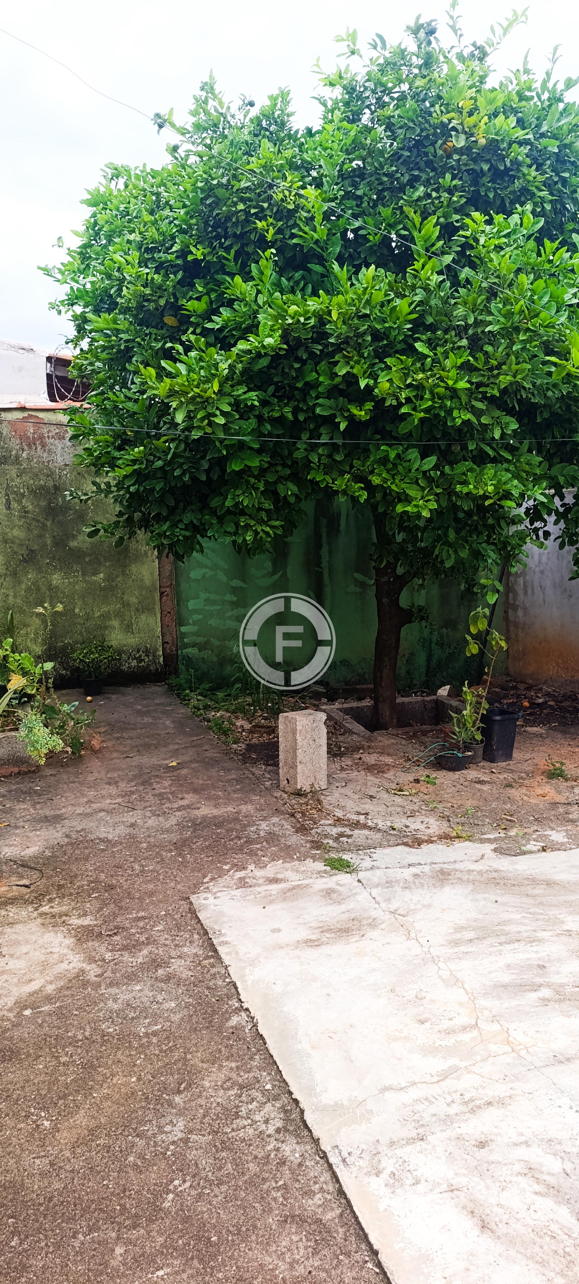 Casa, 2 quartos, 300 m² - Foto 13