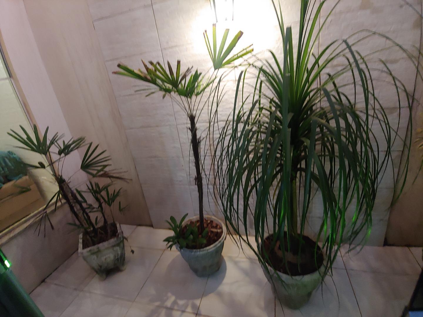 Casa, 2 quartos, 160 m² - Foto 15