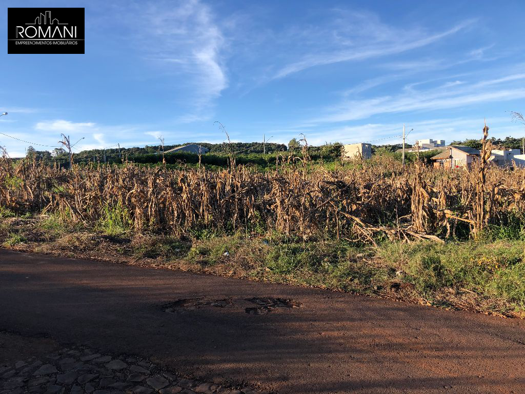 Lote para Venda