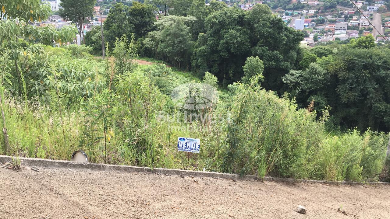TERRENO BAIRRO SÃO JOÃO