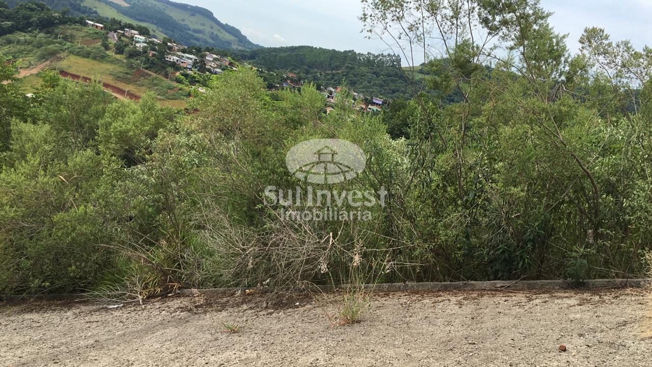 TERRENO BAIRRO SÃO JOÃO