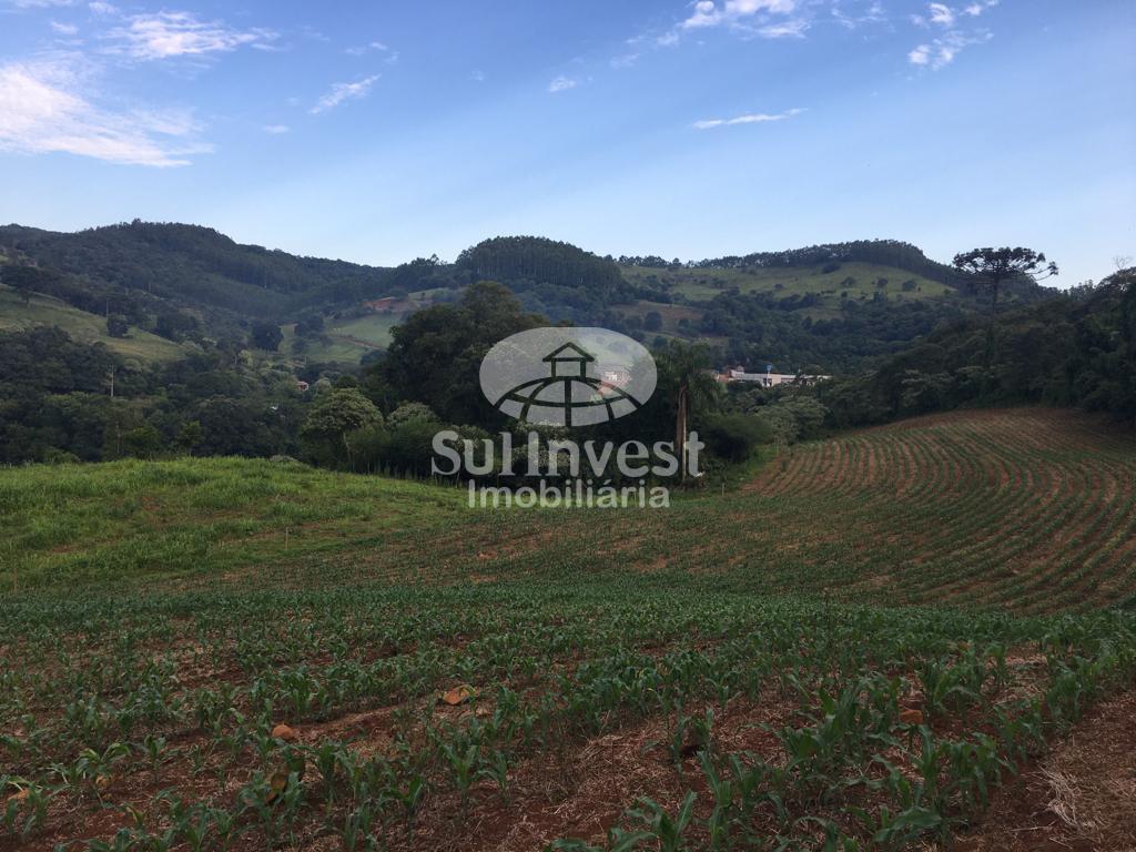 Área Rural com potencial comercial, às margens do Contorno Viá...