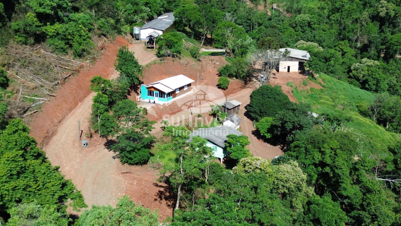 ?rea de terra com 21,5ha de pastagem para gado leiteiro com be...