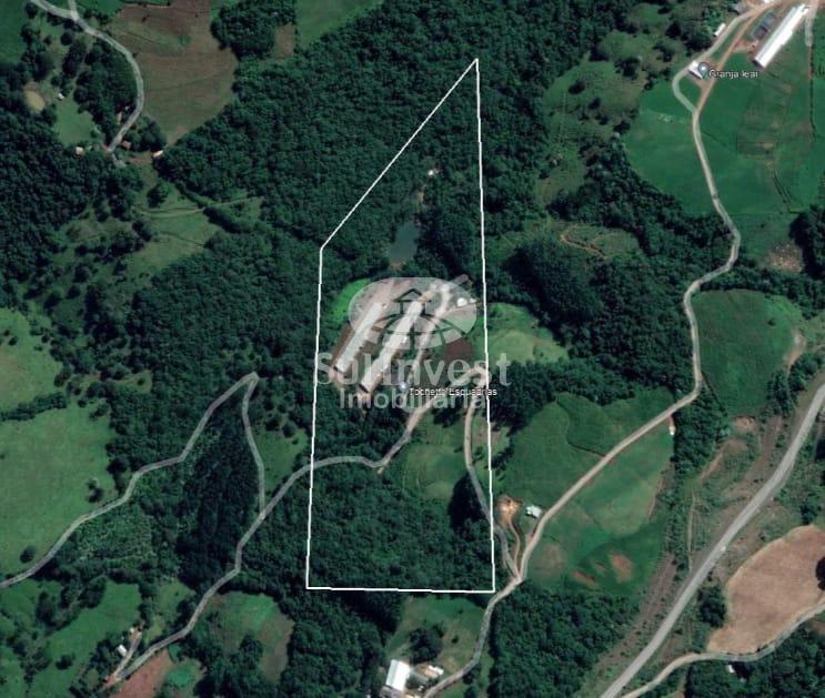 ?rea rural com estrutura pronta para quem quer produzir e lucrar 