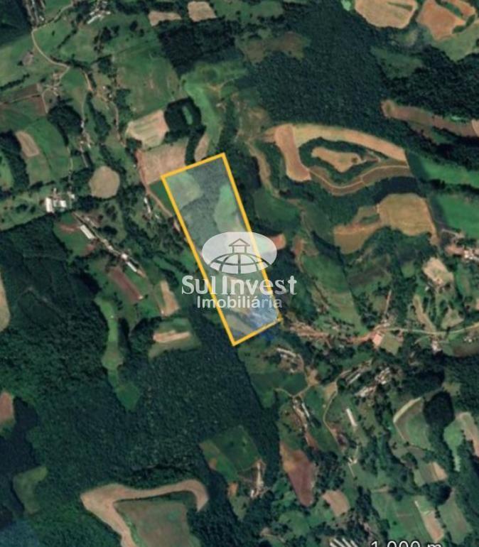 ?rea 17 hectares, propiedade produzindo