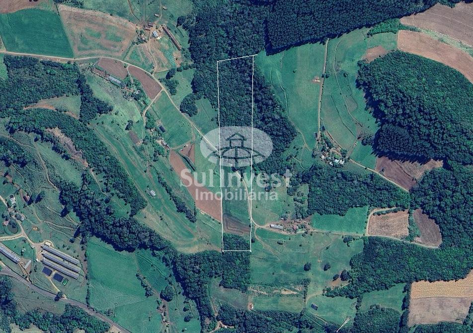 Area rural de 4.500m   Linha Pelotas aceita permuta por terren...