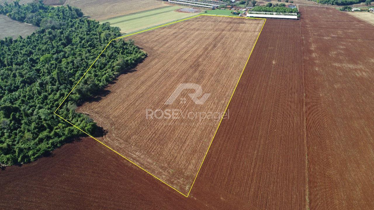 Vendo Área de terra no KM-7, PATO BRAGADO - PR