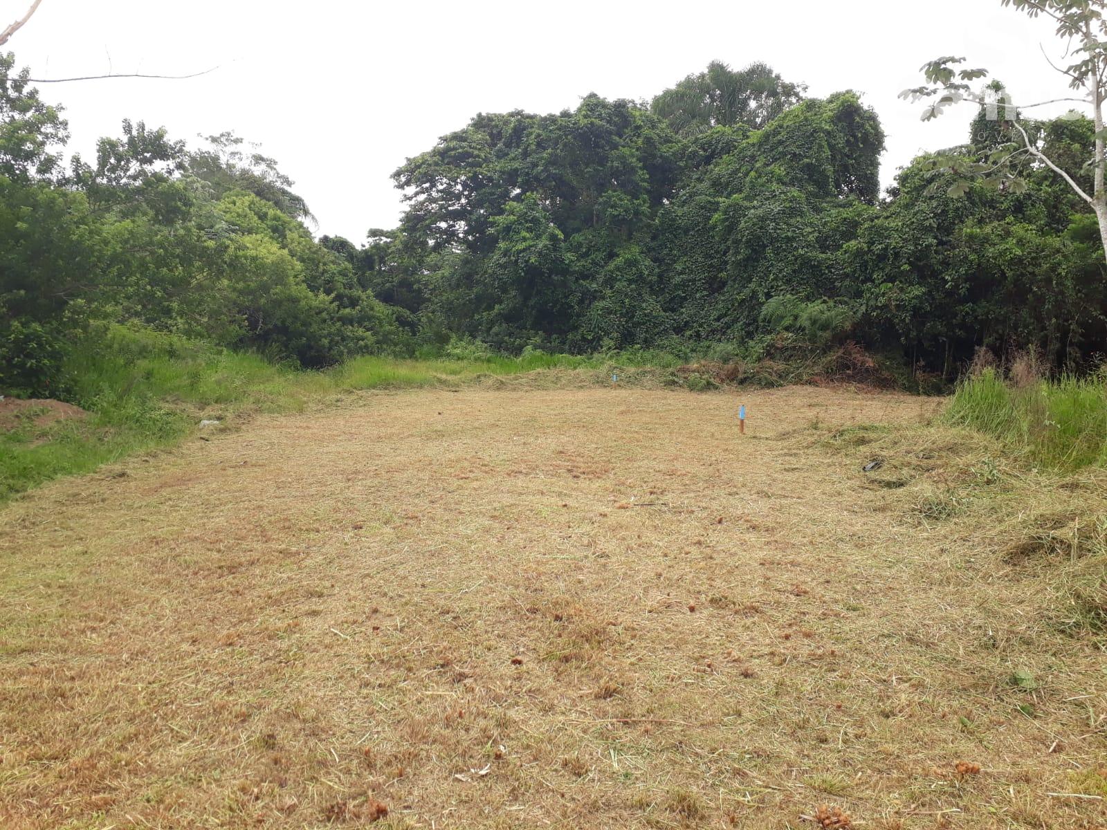 Terreno em local tranquilo, cercado por natureza, aceita finan...