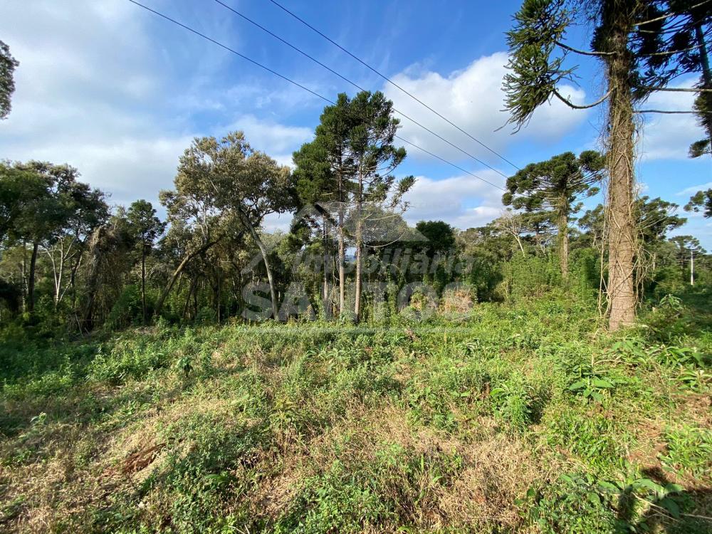Terreno à venda, FAZENDA ELISA, MAFRA - SC