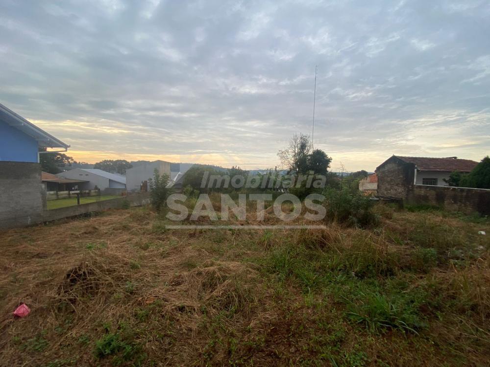 Terreno à venda, Campo Do Gado, RIO NEGRO - PR