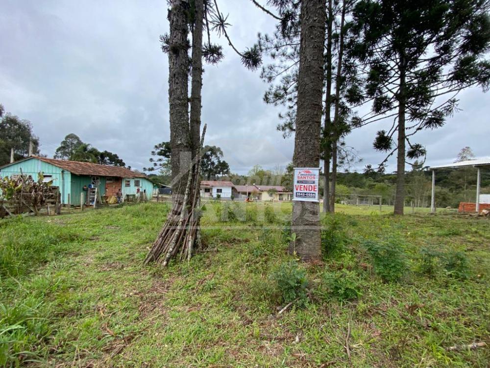 Terreno à venda, BAIRRO ALTO, RIO NEGRO - PR