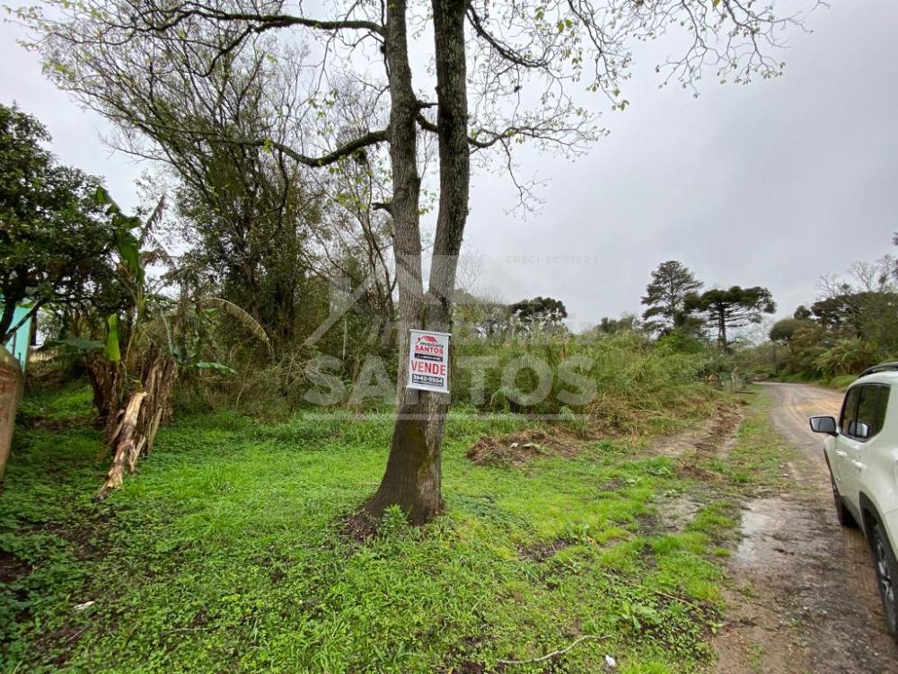 Terreno à venda, vila militar, RIO NEGRO - PR