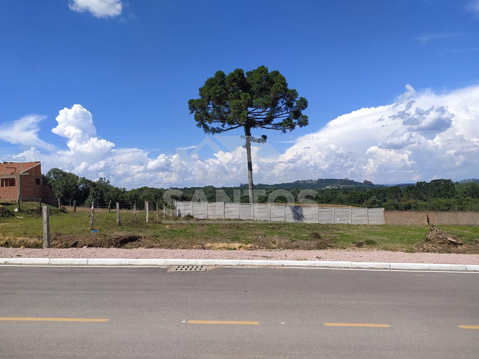 Terreno à venda, AMOLA FECHA, MAFRA - SC
