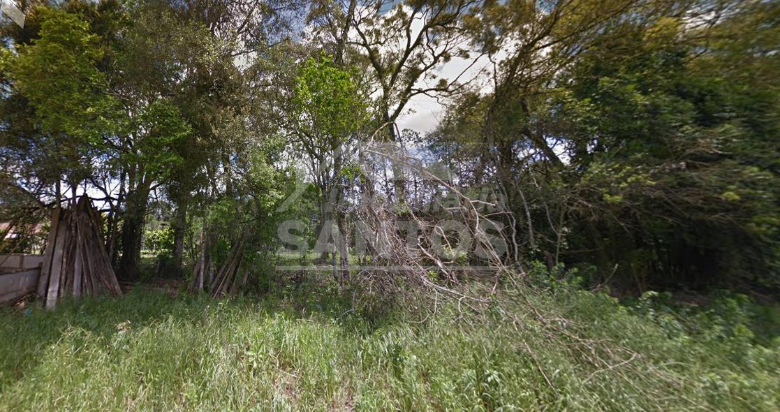 Terreno à venda, BAIRRO ALTO, RIO NEGRO - PR