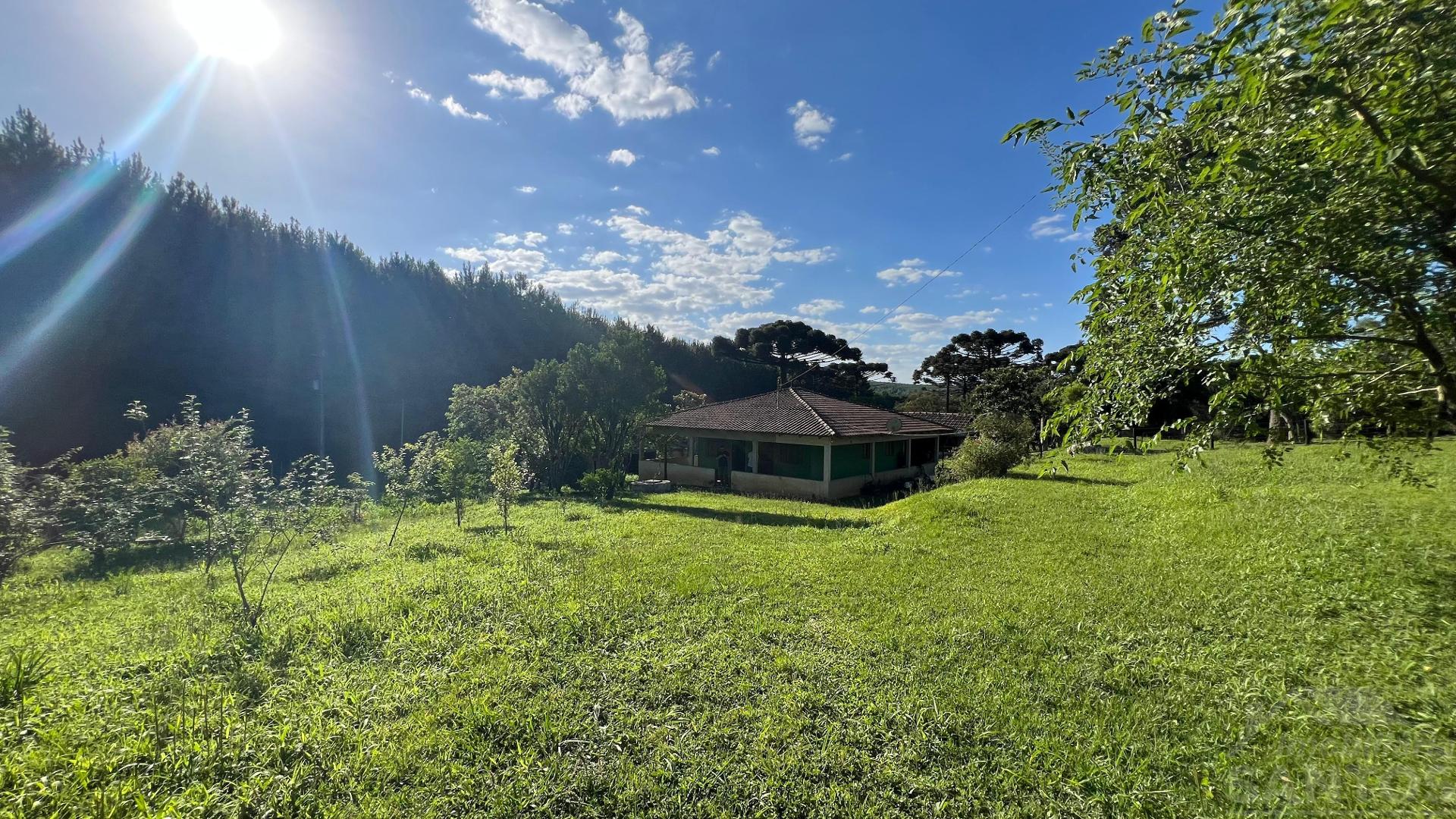 Chácara à Venda, Queimados, Rio Negro PR.