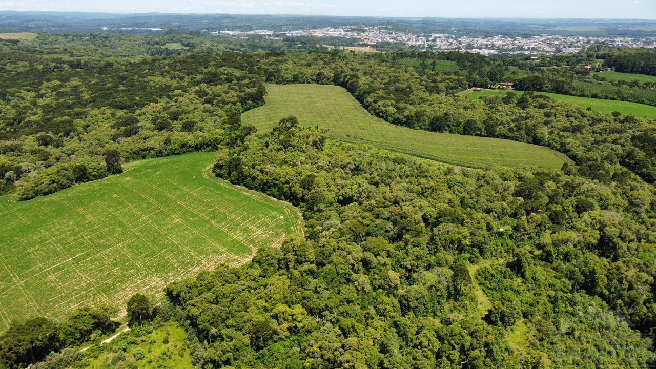 Terreno à Venda, Seminário, Rio Negro PR.