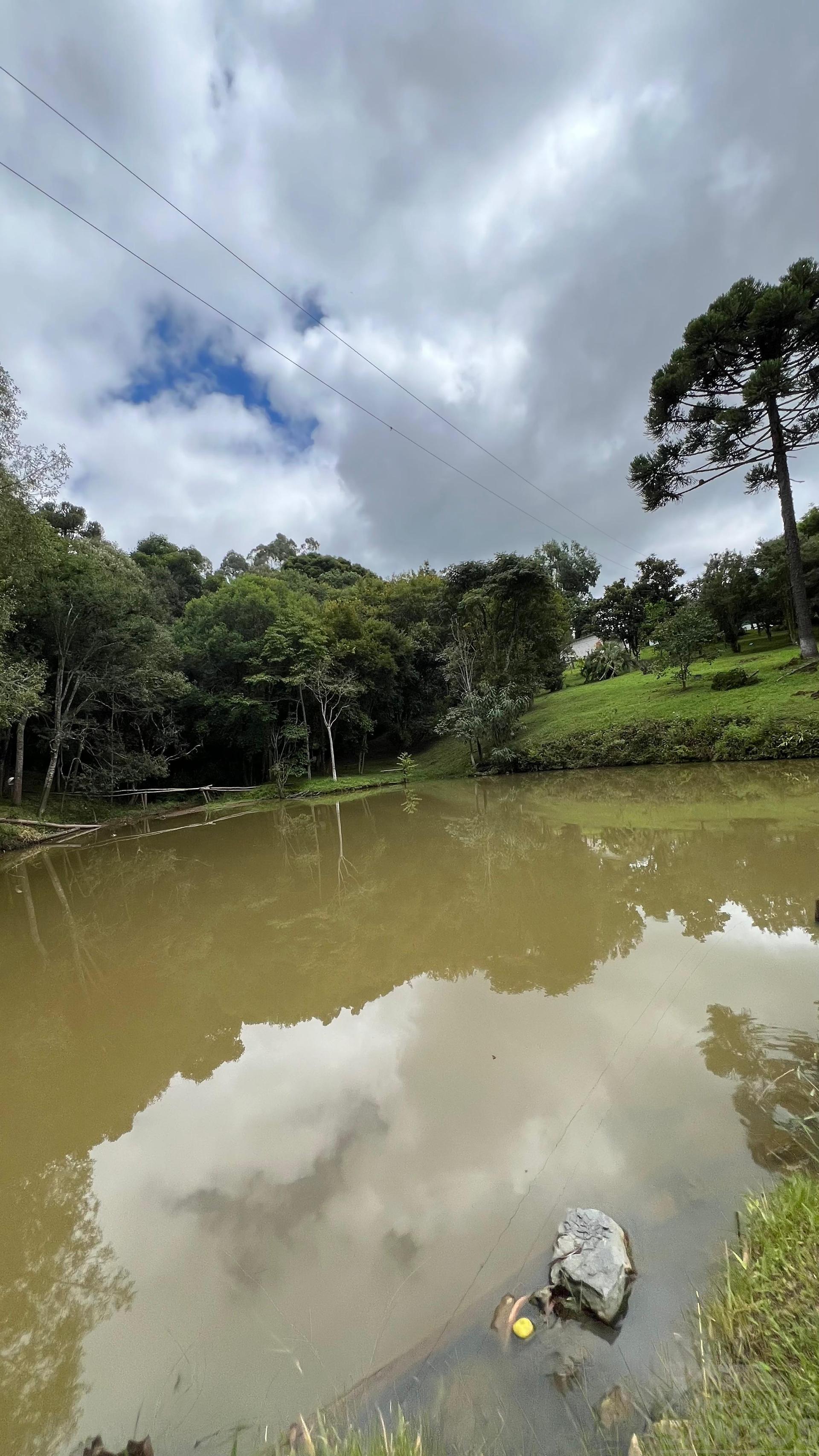 Chácara à Venda Maitaca, Rio Negro PR