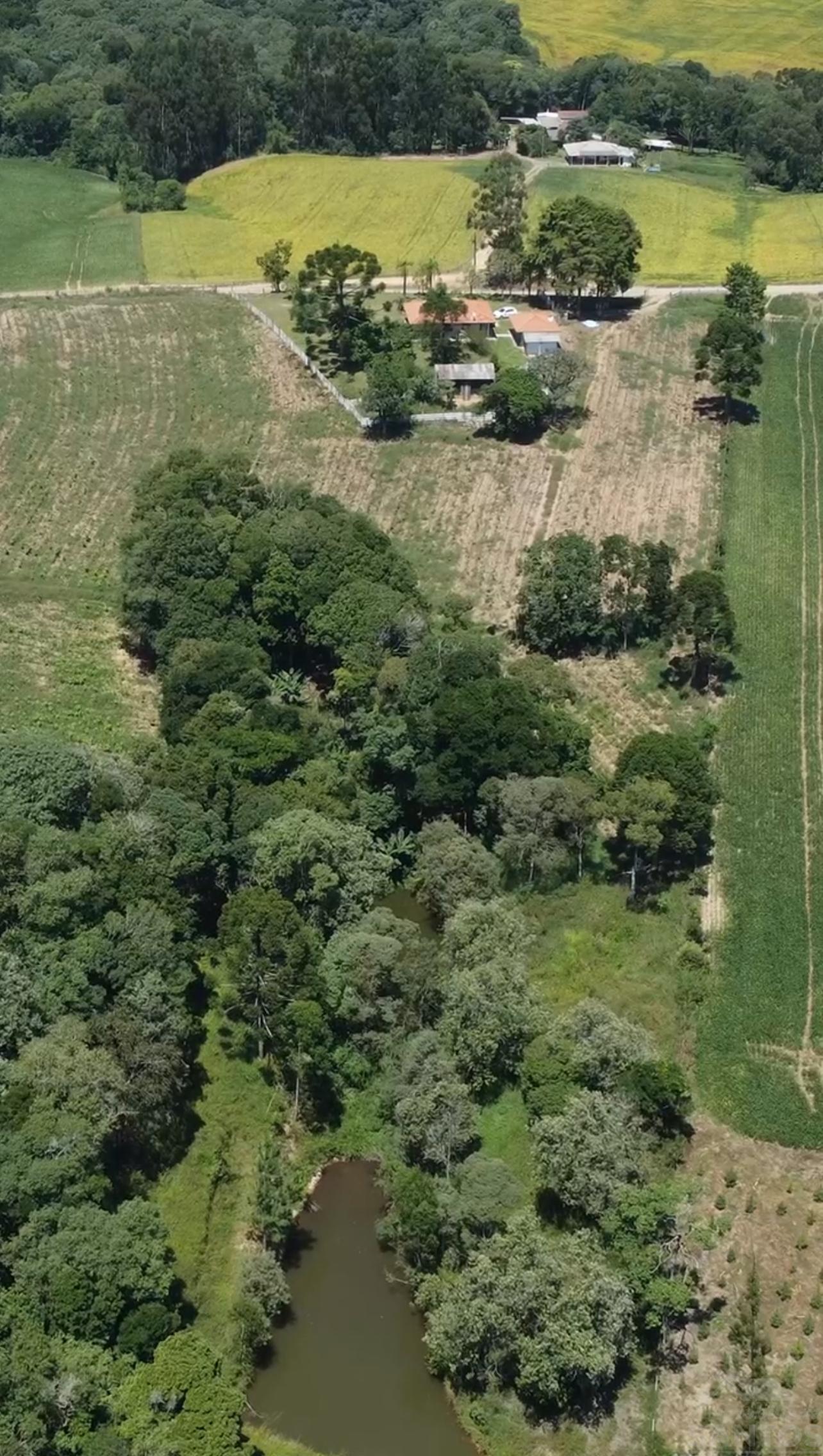 Chácara à Venda, Rio Branco II, Mafra SC.