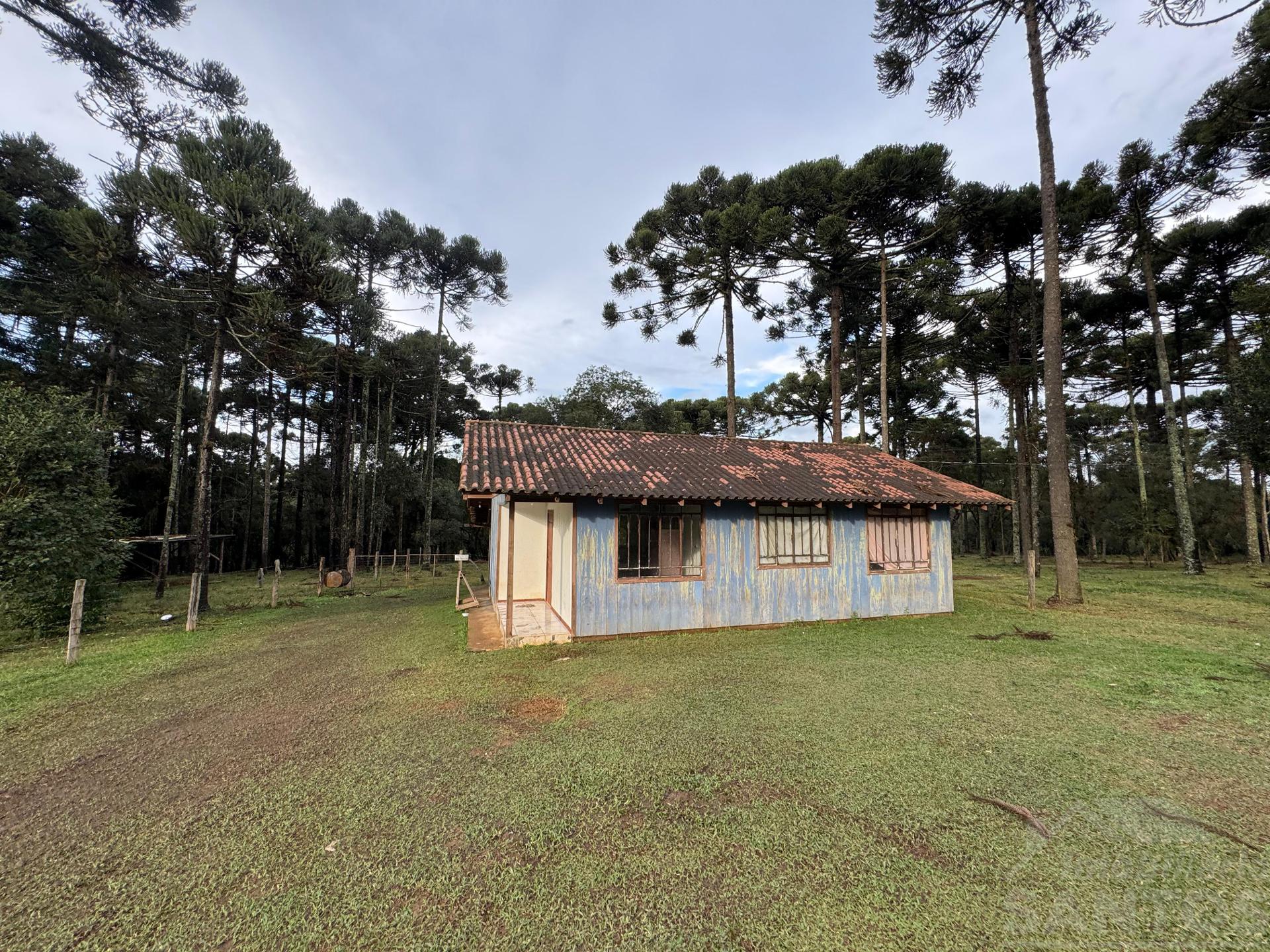 Chácara à Venda em Mafra SC Campo da Lança com 8.000m2 e Casa de 3 Quartos