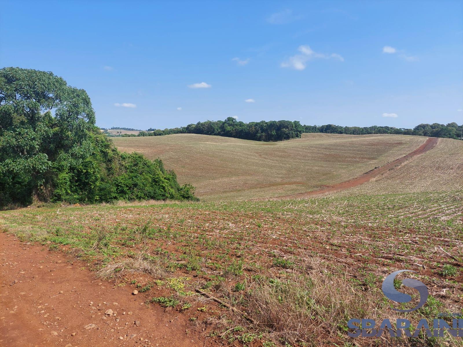 Ch?cara ? venda em Pato Branco na Comunidade de Quebra Freio.