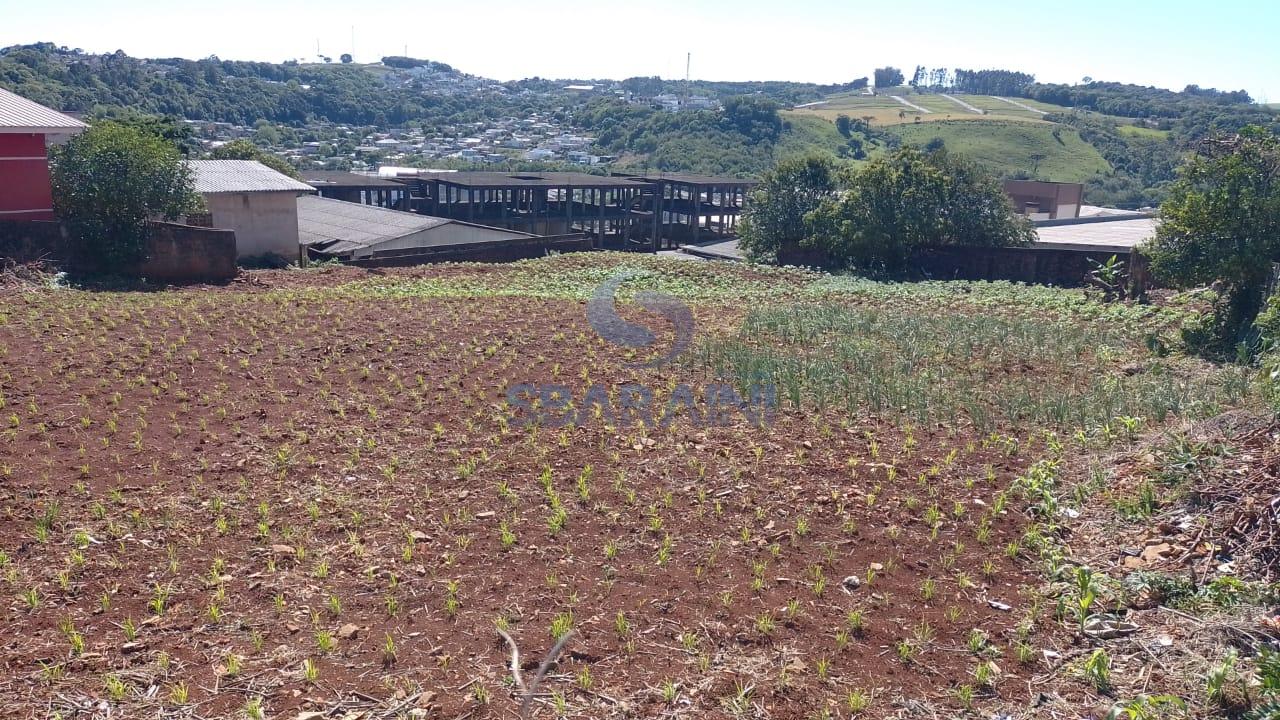 Terreno comercial à venda no Bairro Santa Terezinha em Pato Br...