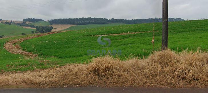 Terreno Chácara à venda no Passo da Ilha em Pato Branco PR