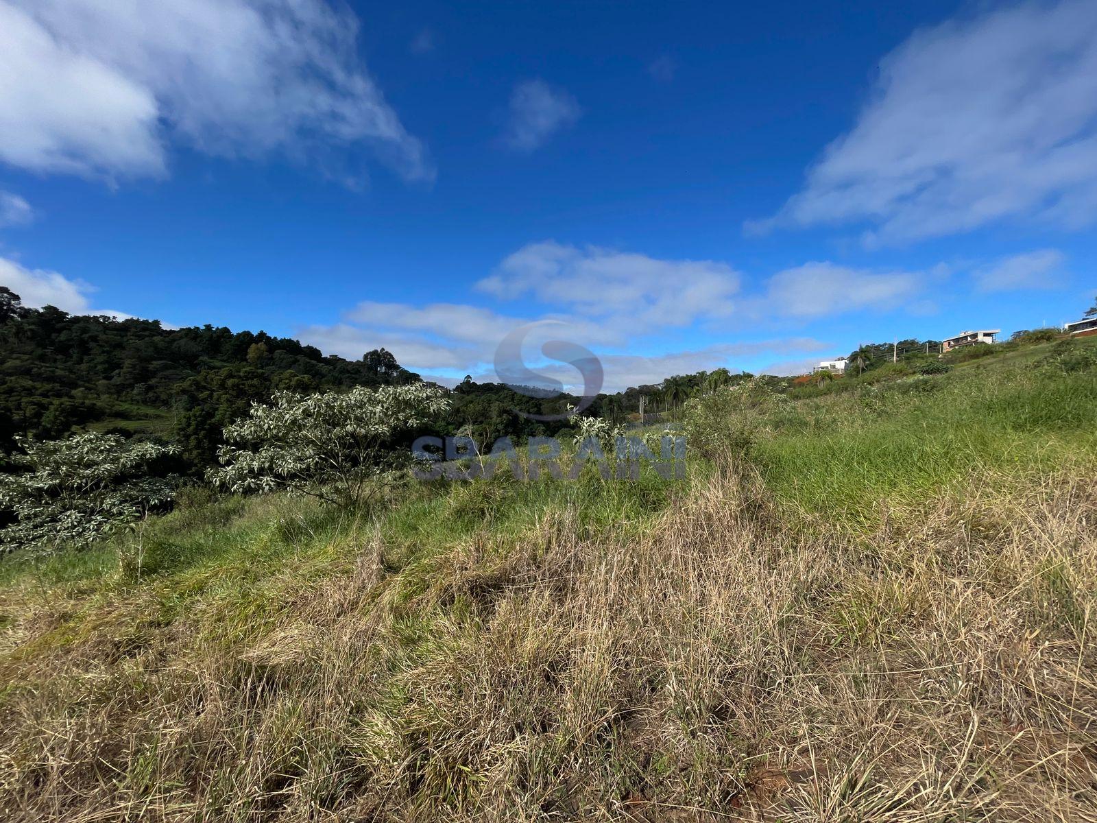 Amplo terreno para venda no Bairro Vila Isabel em Pato Branco PR
