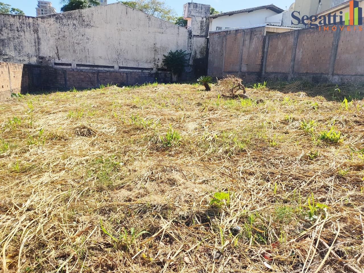 TERRENO NO CENTRO