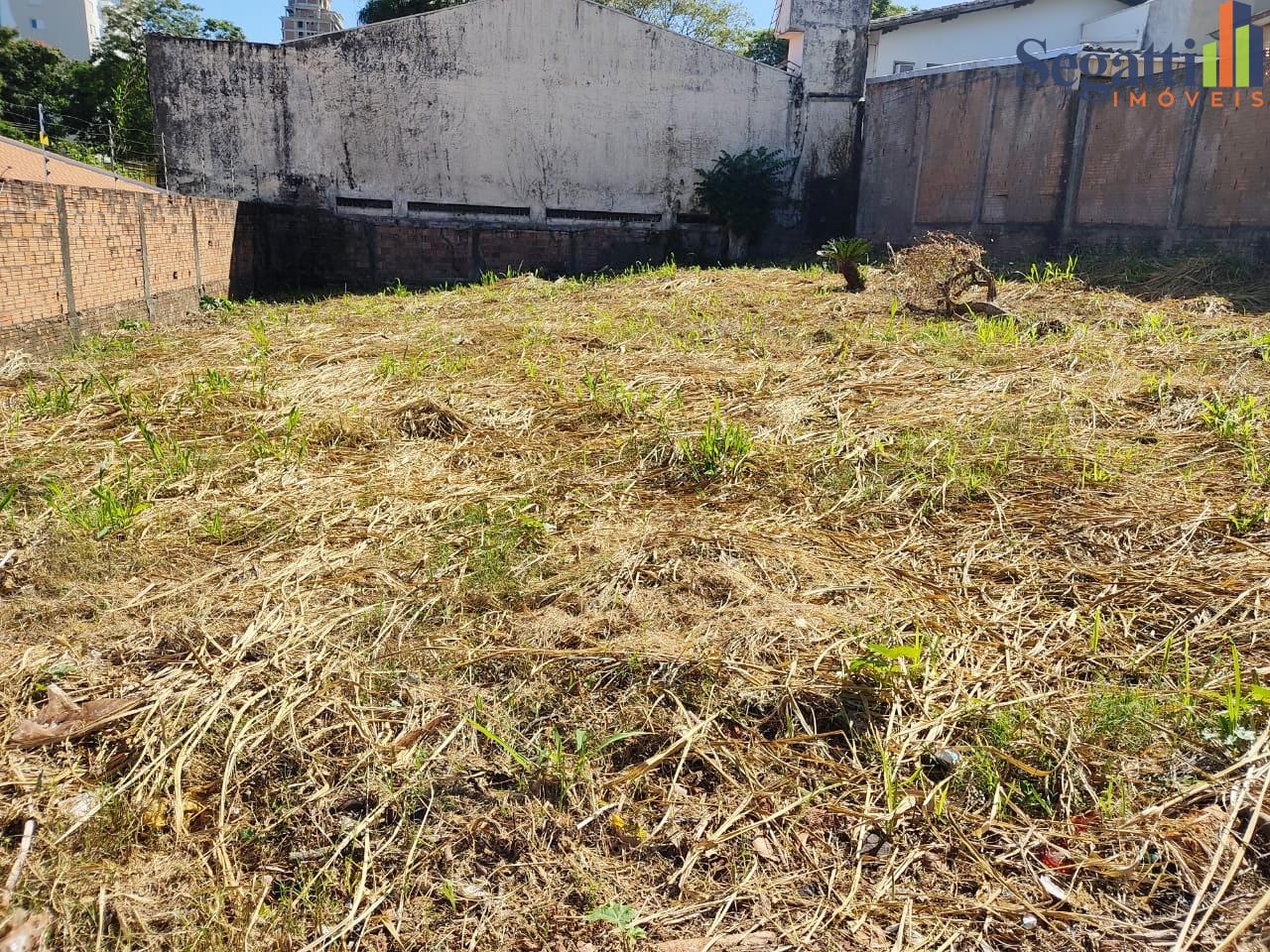 TERRENO NO CENTRO