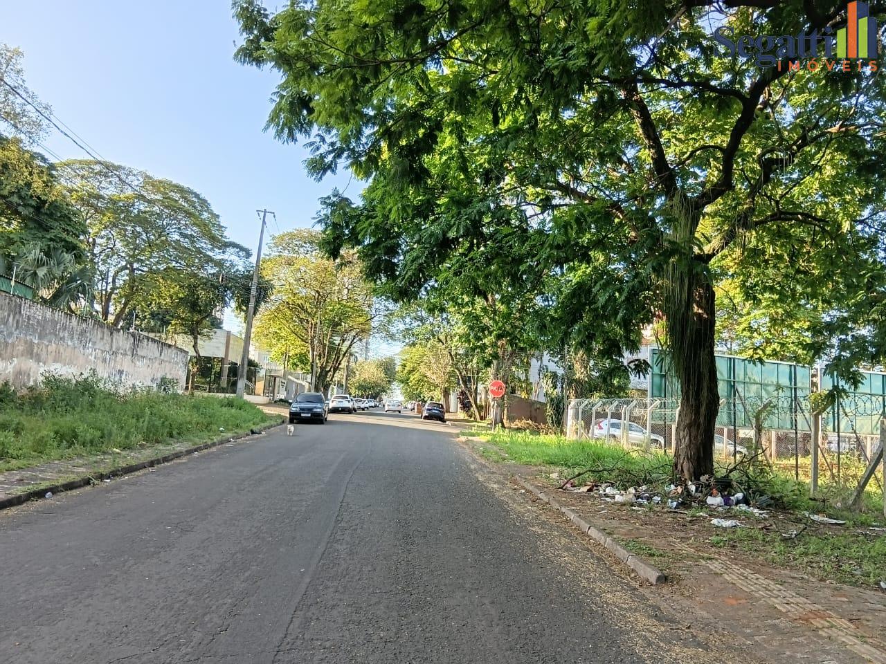 TERRENO NO CENTRO