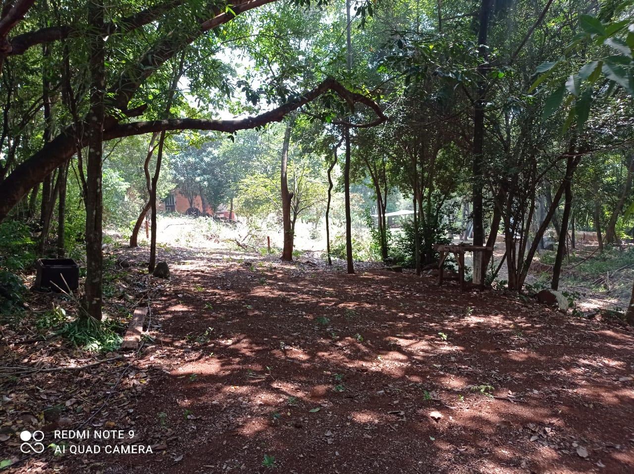 Excelente Chácara para açude, próximo ao Bio Parque em Toledo Pr