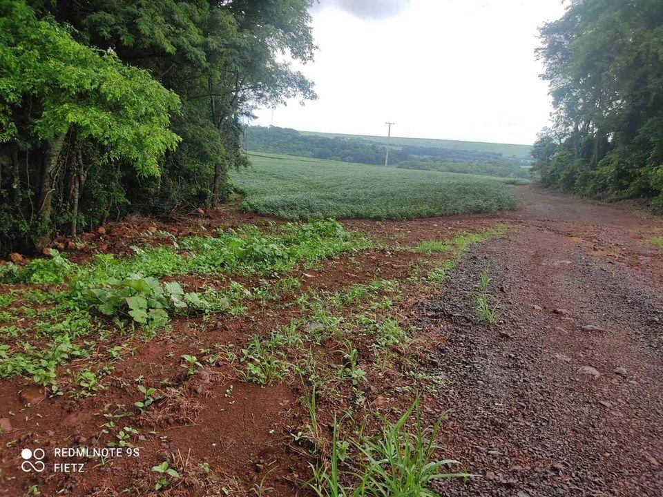 Chácaras de 20.000m  com asfalto na cabeceira e Rio Guaçu no f...