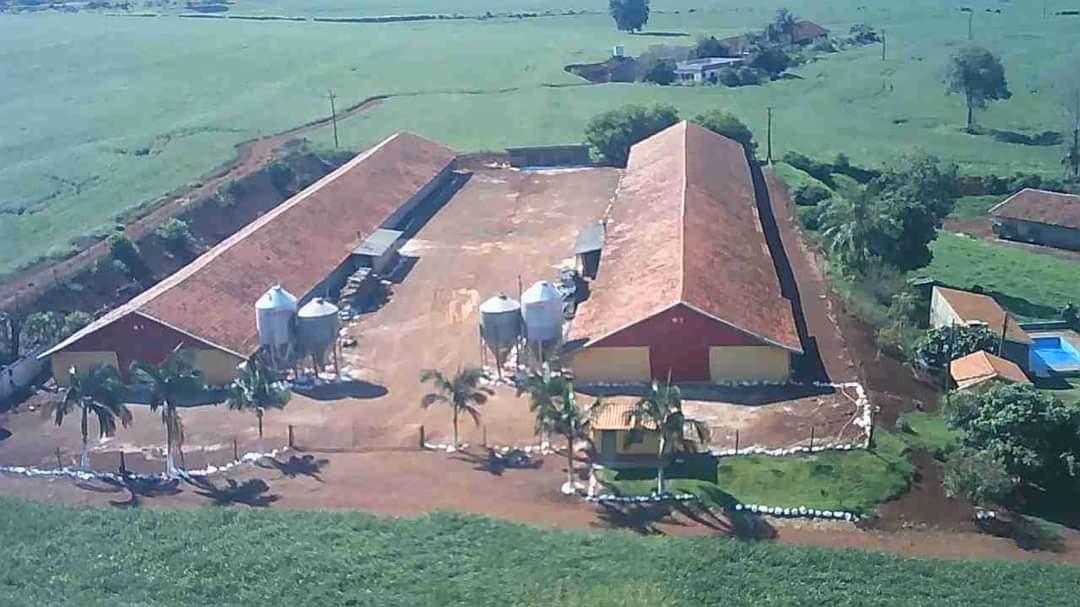 Chácara com com 3 Aviários Alojados pela Copacol em Plena Ativ...