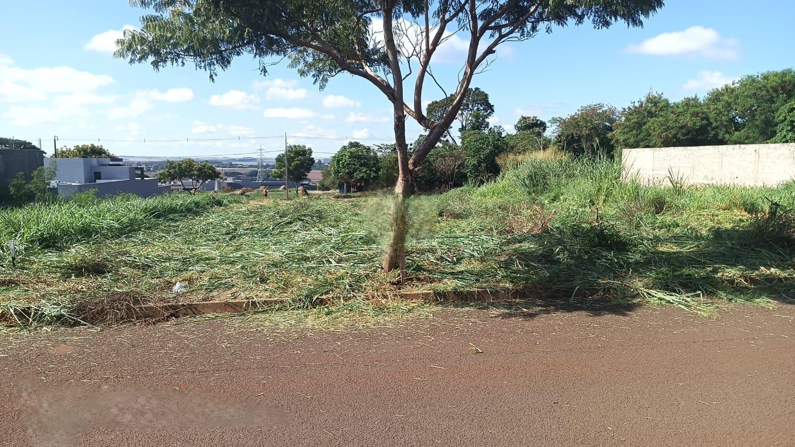 TERRENO DE 450,00m  NO JARDIM PANCERA, EXCELENTE LOCALIZA??O