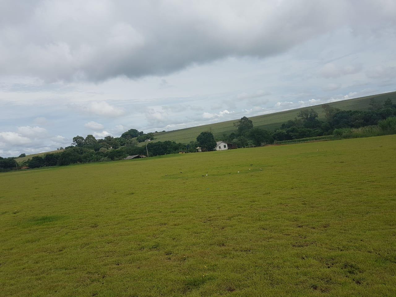TERRENO DE 5.000m  , ÁREA RURAL, TOLEDO - PR