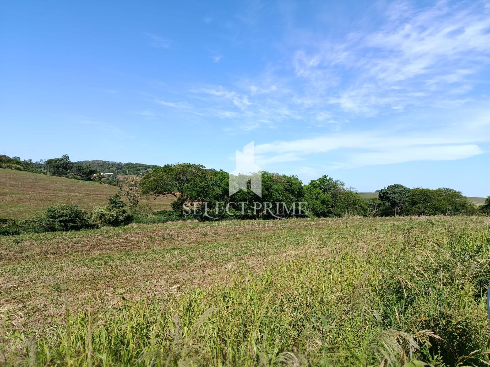 Chácara de 20.000m  em Marechal C Rondon Matrícula Individual ...