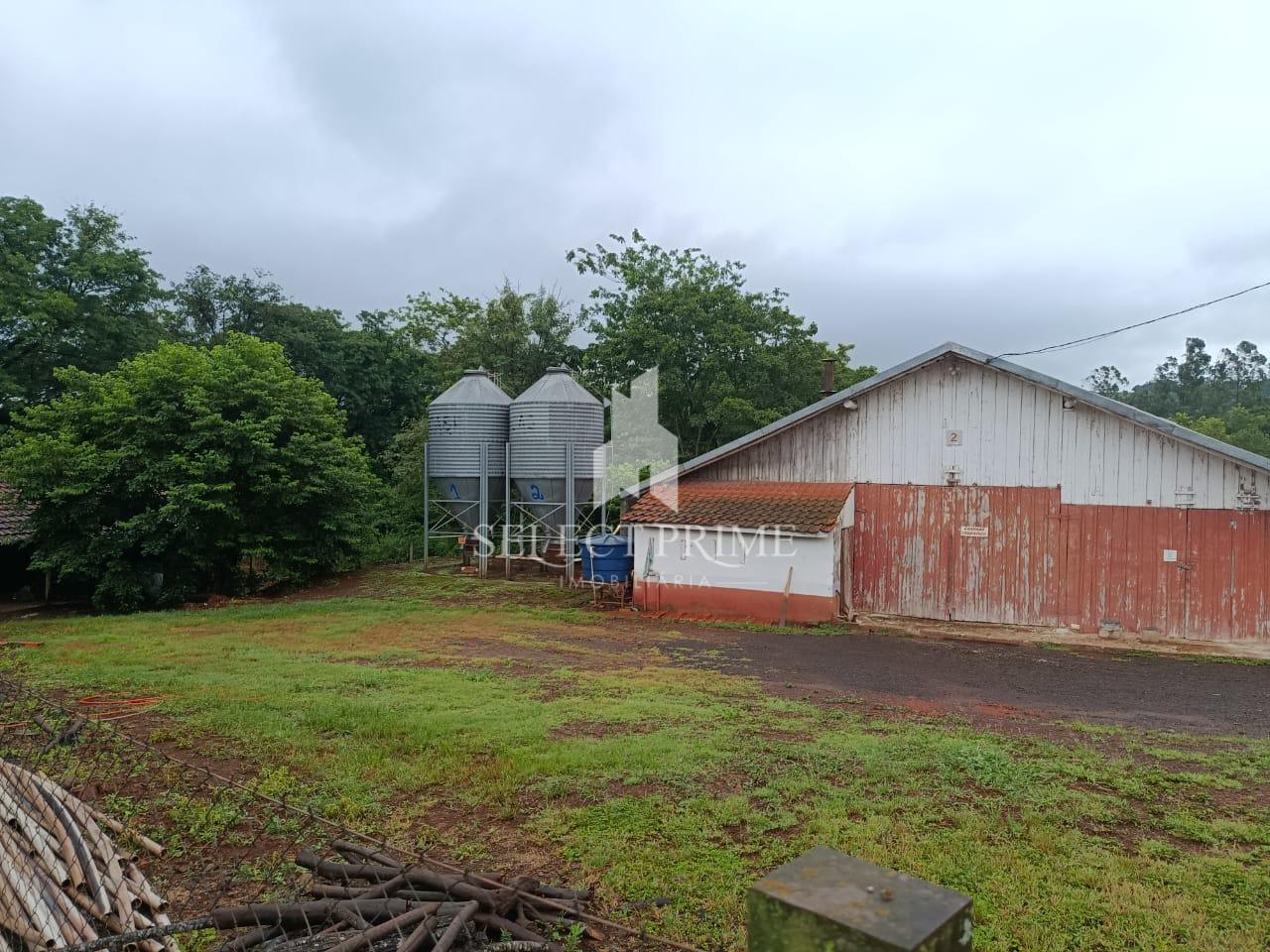 Chácara Avícola de 30.000m  com Excelente Casa em Alvenaria em...