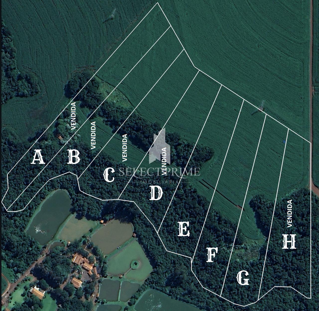 Chácaras de 20.000m  entre Toledo e Sede Alvorada com Rio Lope...