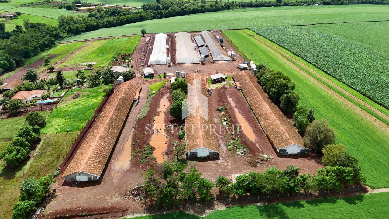 Ch?cara de 1.5 alqueire com 6 Avi?rios alojados pela BRF em No...