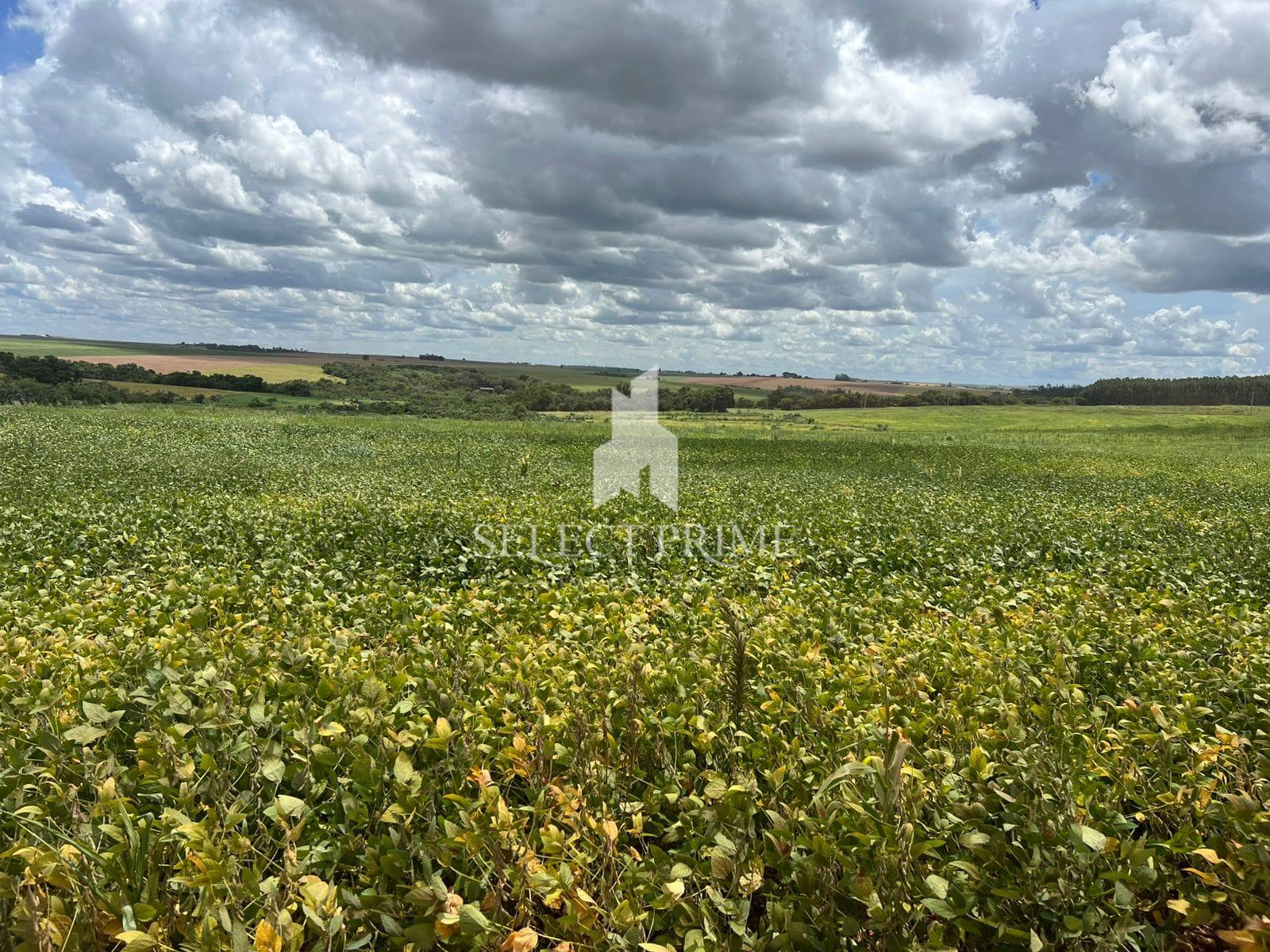 Chácara de 15 Alqueires com Aptidão para Lavoura entre Assis C...