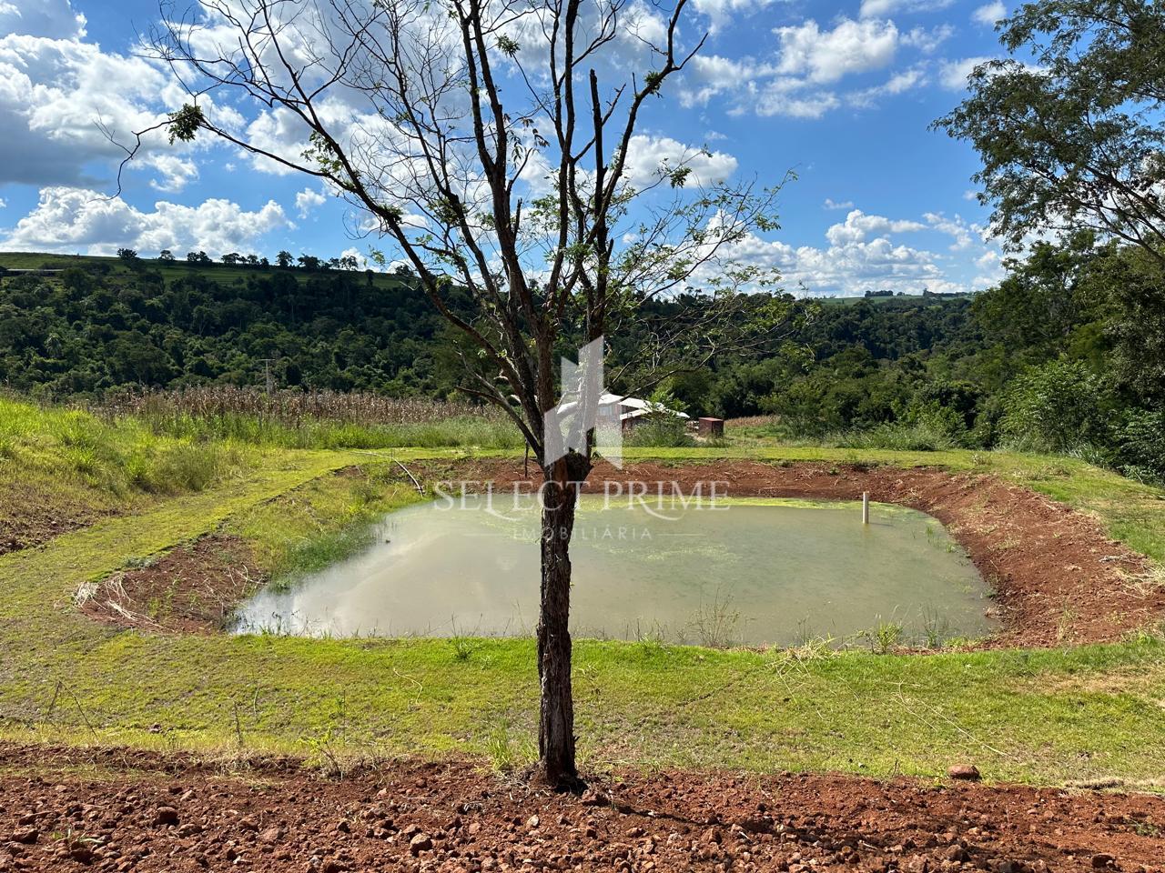 Ch?cara de 20.100m  com A?ude e Rio S. Francisco no fundo em O...