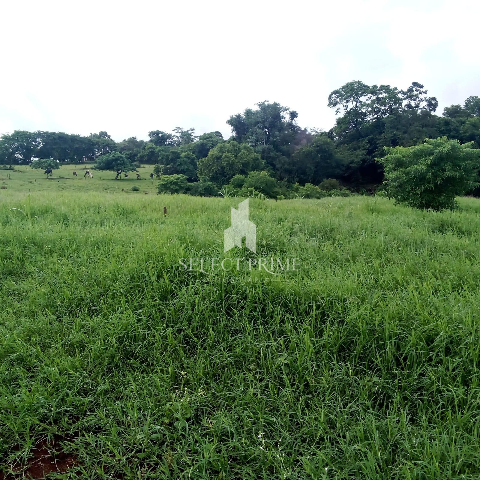 Chácara de 26.430m  com Casa, Galpão, Estrebaria, Área de Plan...