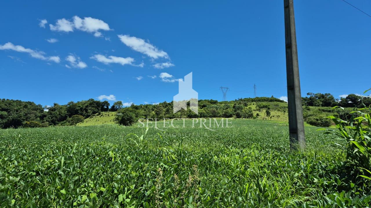Chácara de 1,53 Alqueire  37.000m   com Mina em Rio do Salto -...