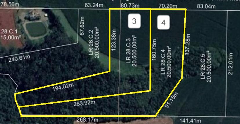 Chácaras de 20.500m² na Linha Comin próximas ao Jardim Europa ...