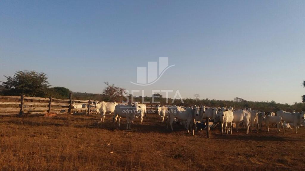 Fazenda à venda, Zona Rural, GENERAL CARNEIRO - MT